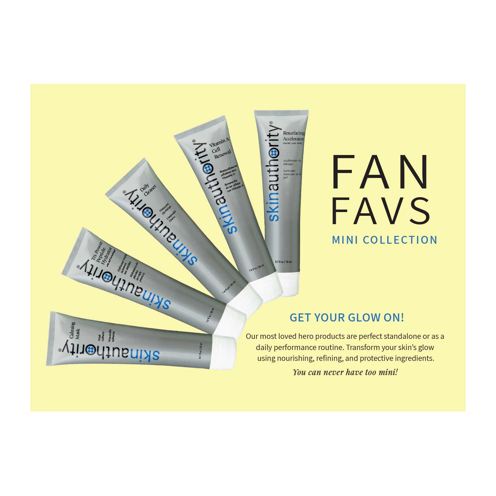 Skin Authority Fan Favs Mini Collection for Daily Skin Routine Front of Kit